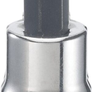 CRAFTSMAN Torx Bit Socket, 3/8 pulgadas Drive, T50 (CMMT42667)