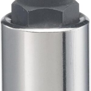 CRAFTSMAN Torx Bit Socket, 3/8 pulgadas Drive, T55 (CMMT42689)