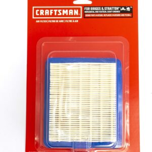 Craftsman CMXGZAM200051 Filtro Air Legacy Walk 491588s, Negro