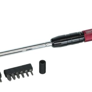 CRAFTSMAN 948025 17 Pieces T-Handle Driver and Bit Set