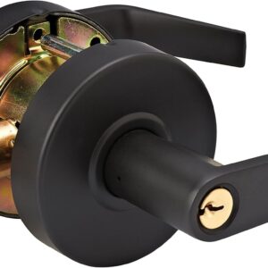 Master Lock SLCHKE10B - Cerradura de puerta de entrada con llave comercial de grado 2 con tope de tope, acabado de bronce aceitado